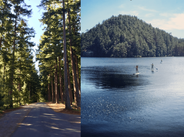 Screen Shot 2017-03-14 at 11.14.10 PM