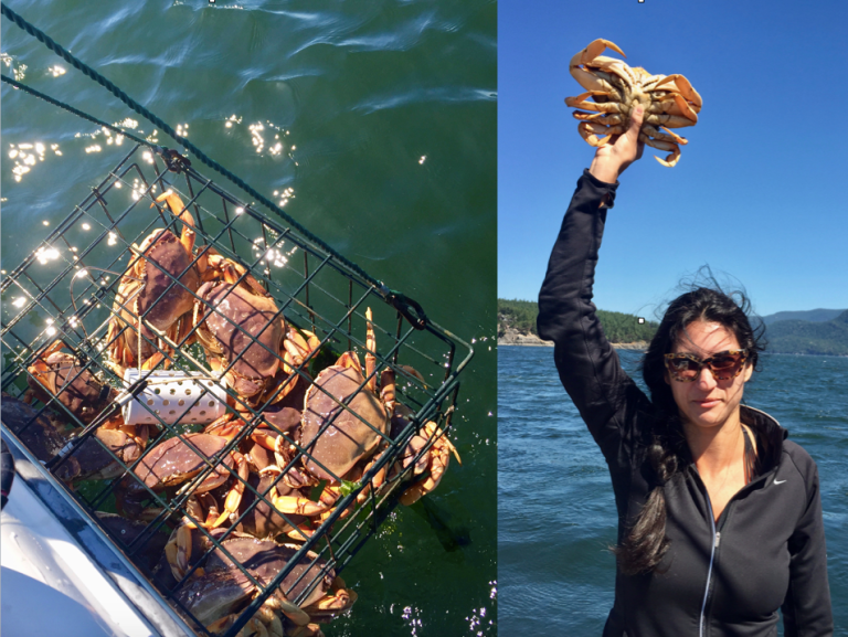 Screen Shot 2017-03-14 at 11.16.33 PM