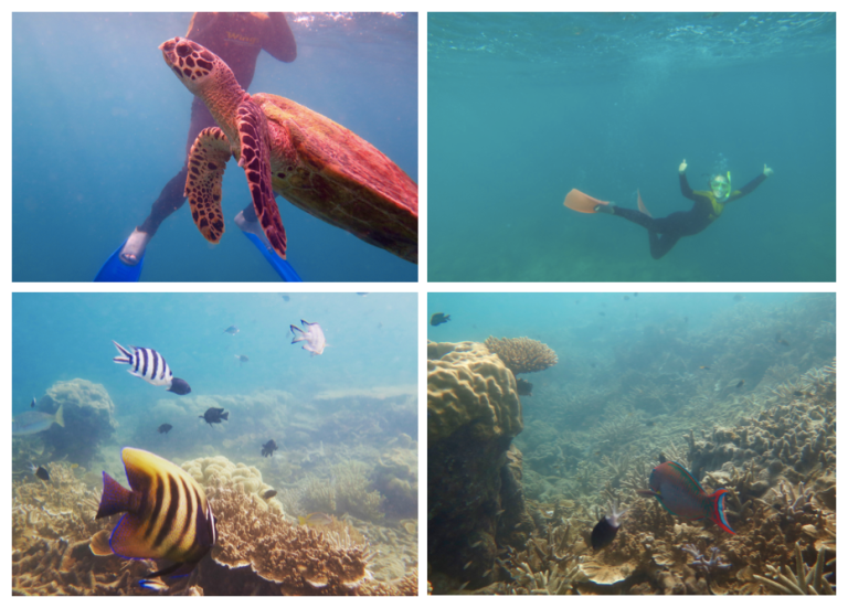 Screen Shot 2017-03-14 at 9.36.59 PM